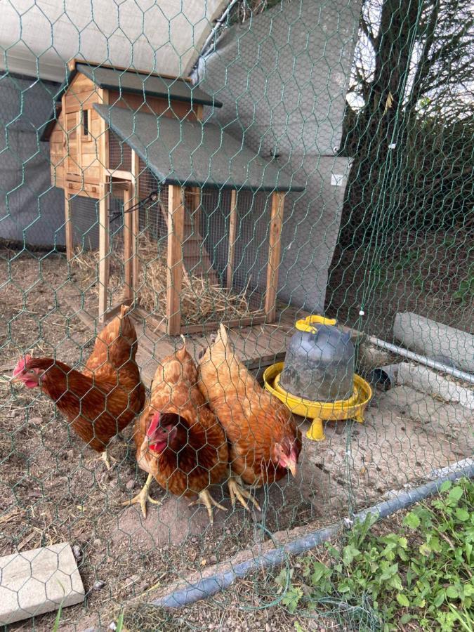 Toulon-sur-Arroux La Petite Maisonヴィラ エクステリア 写真